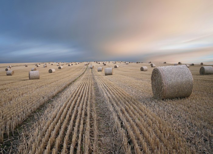 Hay bales in a harvested field under a dramatic sky