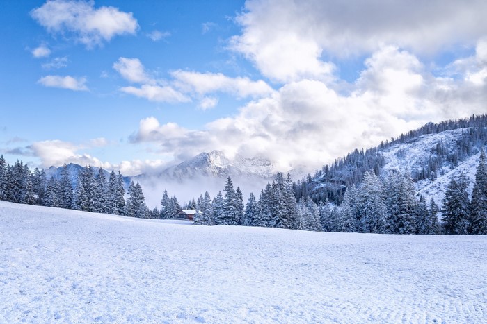 Snowy Mountains and Forest with a Small Cabin
