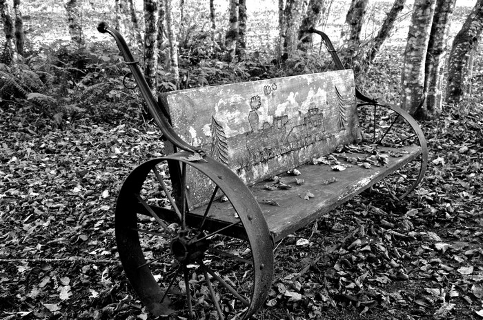 Old bench with carved city scene in autumn forest