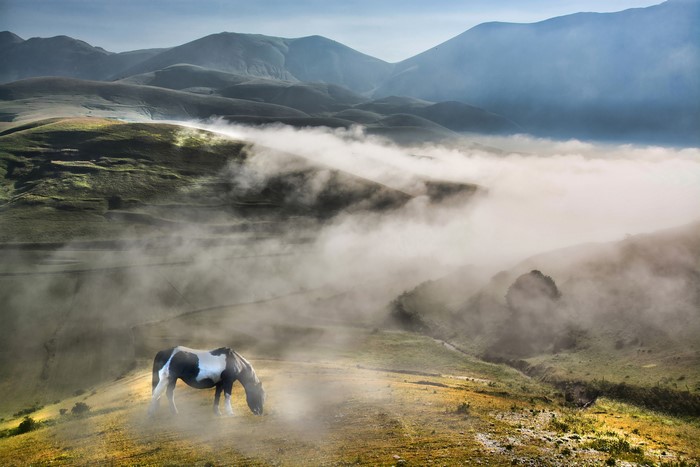 Horse grazing in foggy mountains of Monti Prenestini, Italy