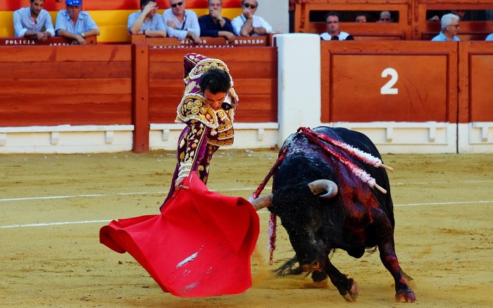 Matador with red cape facing a bull in Spain