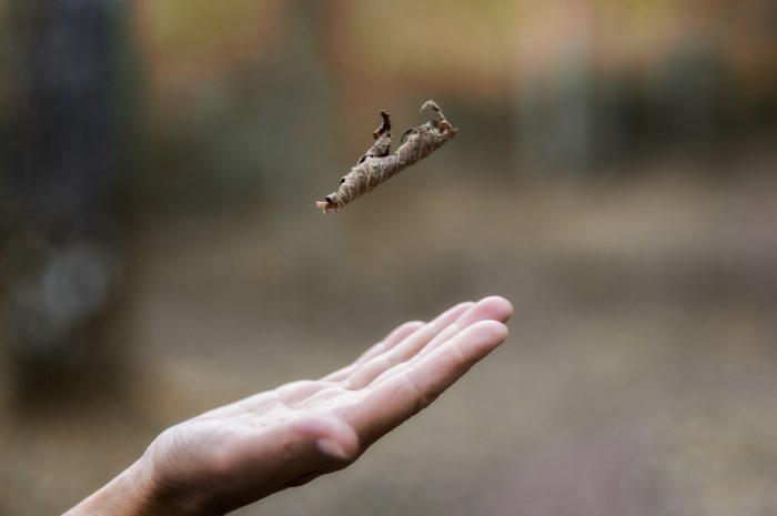A hand reaching for a falling leaf