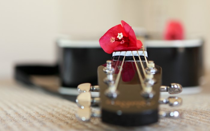 Guitar headstock with red flower