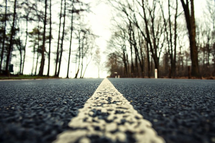 Road with white line and trees