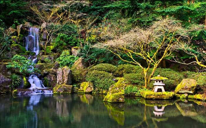 Japanese Garden Waterfall Pond with Stone Lantern