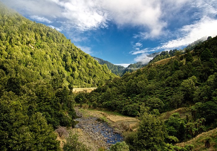 4K New Zealand Mountains and Forests