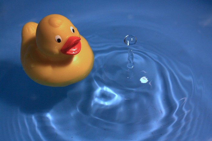Rubber duck floating in water with a water drop