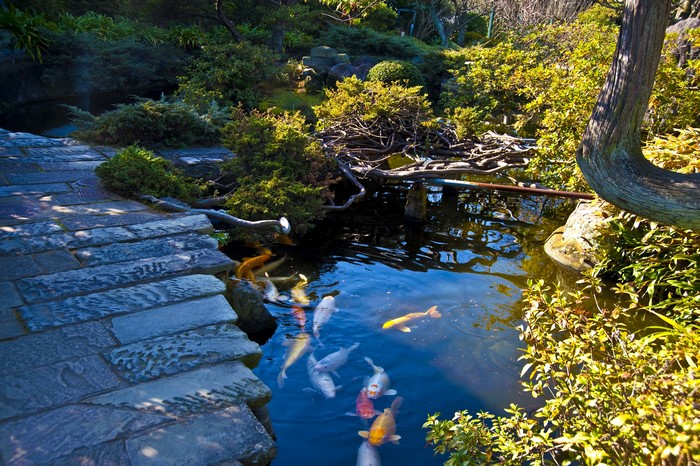 Japanese garden with koi pond in Nagasaki, Japan