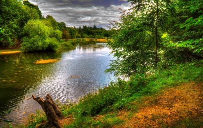 River and trees in Nostell, England
