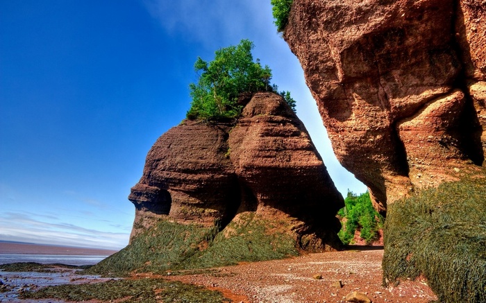 Red rock formations with trees and ocean