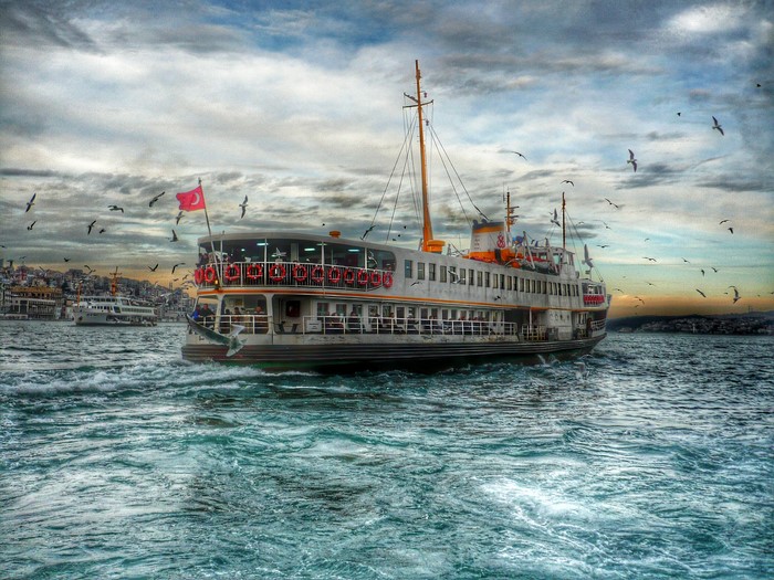 Ferry boat sailing in the sea with seagulls and Turkish flag