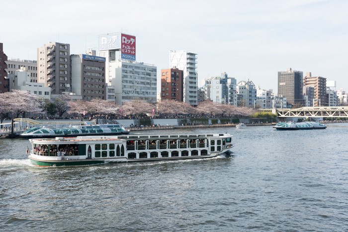 Riverboats on Sumida River with Tokyo Skyline and Cherry Blossoms