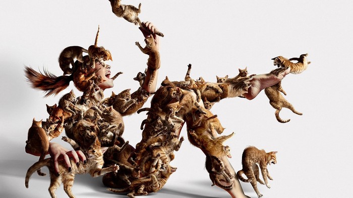 Woman covered in cats