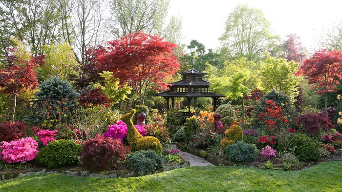 Vibrant Garden with Colorful Shrubs and Trees