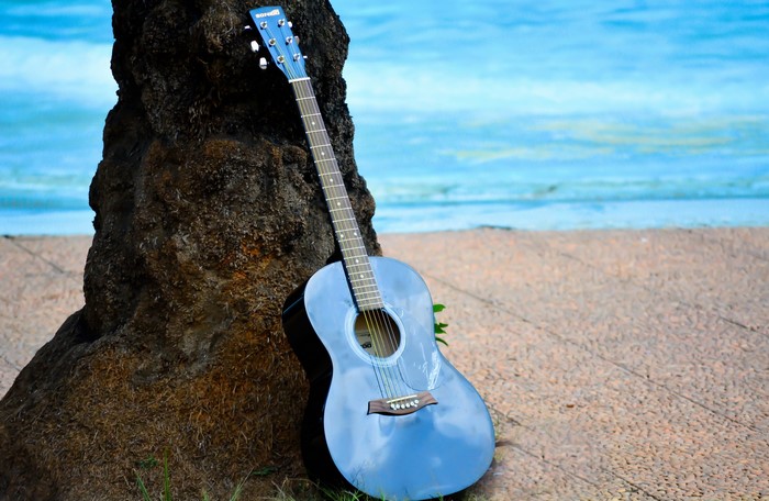 Blue acoustic guitar leaning against a tree on a beach