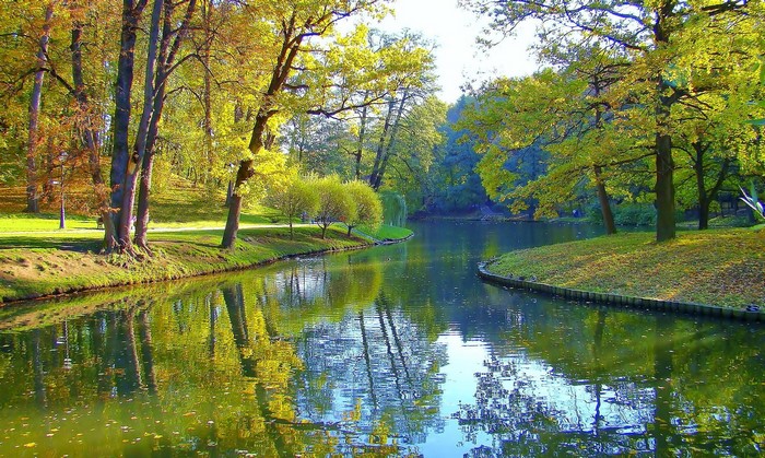 Autumn park with a pond and trees