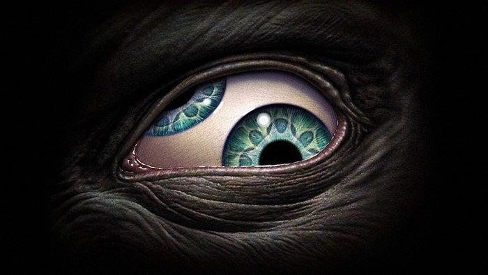 Close-up of a monstrous eye
