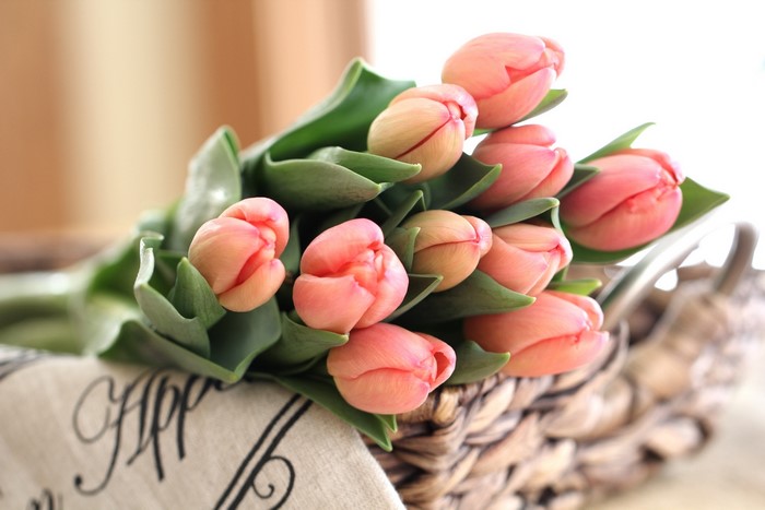 Pink tulips in a basket