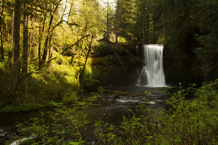 Waterfall in Silverfalls State Park, Oregon, USA