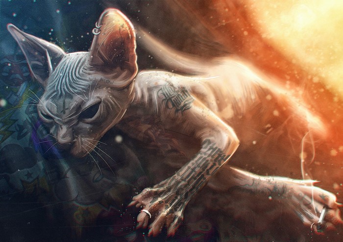 Tattooed Sphynx Cat with Piercings and Ring