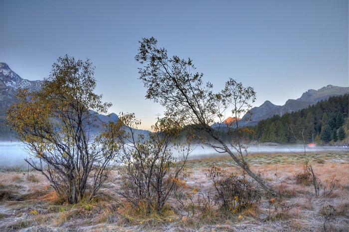 Misty lake with mountains and trees at sunrise