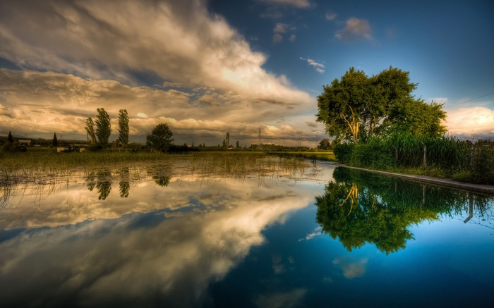 Reflective landscape with trees and clouds at sunset