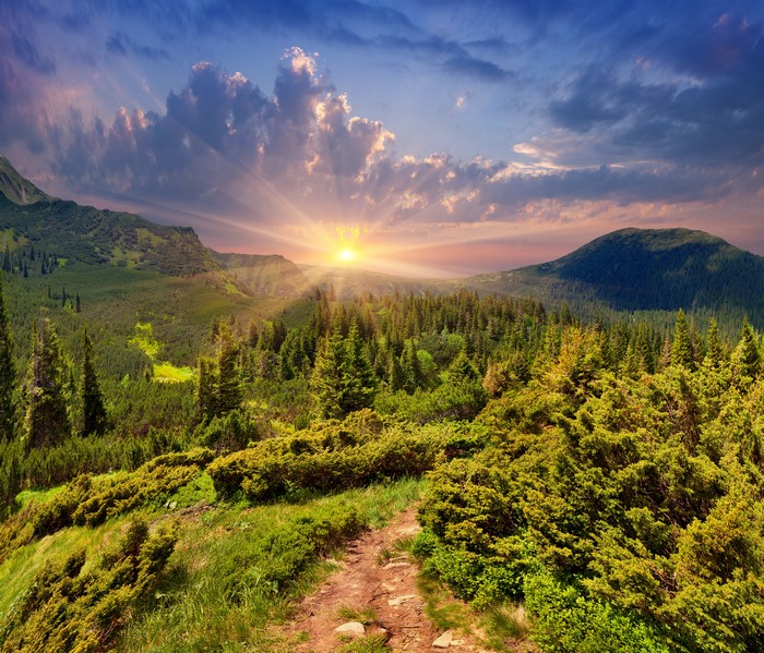 Mountains with Sunrise and Forest