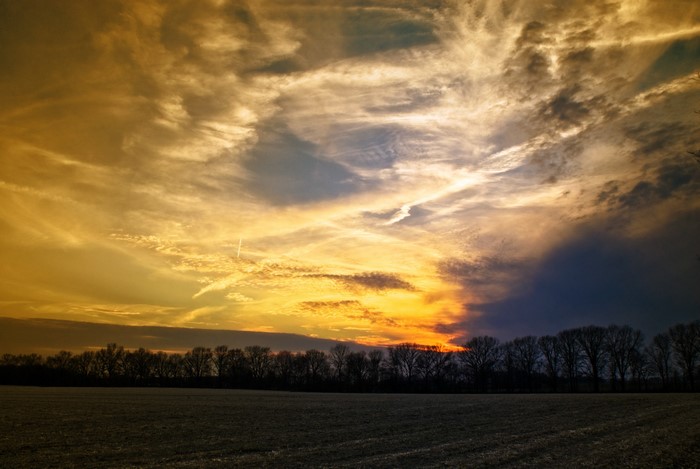 Sunset over a field with trees