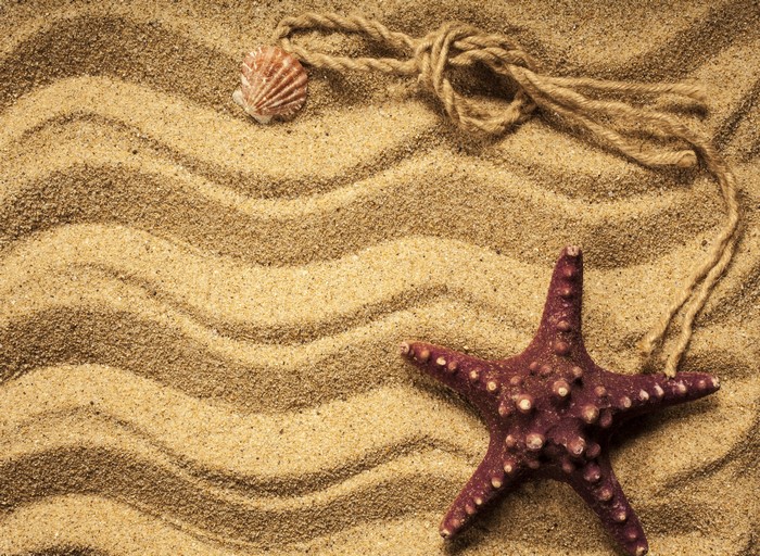 Starfish and shell on wavy sand with rope