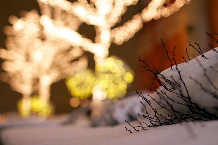 Snow covered ground with blurred Christmas lights