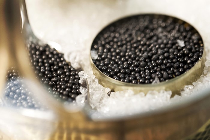Caviar in metal containers on ice