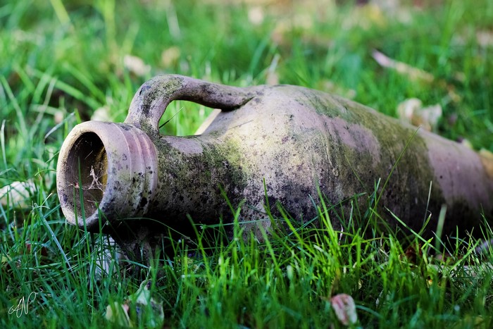 Old jug container lying in grass