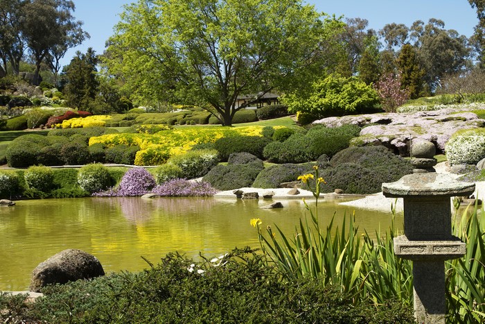 Cowra Japanese Garden Pond with Stone Lantern