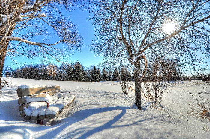 Park bench covered in snow with trees and blue sky