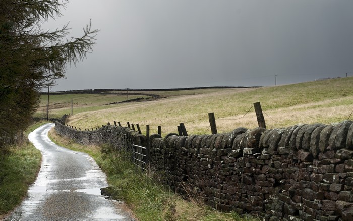 Wet country road with stone wall and fields