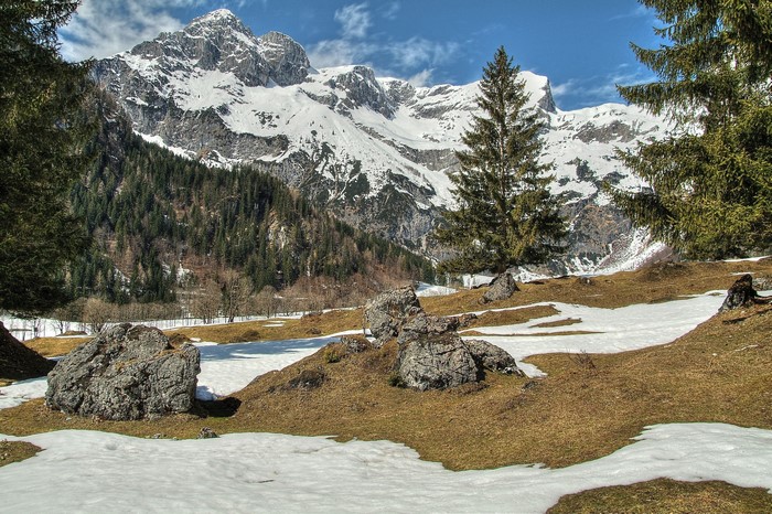 Snowy Mountains and Forest Landscape