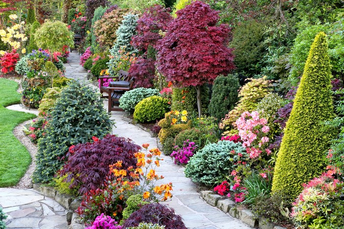 A winding garden path with diverse shrubs and trees