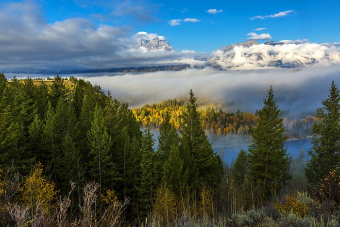 Grand Teton National Park Wyoming Foggy Morning