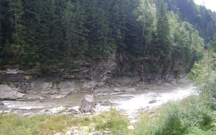 River flowing through a rocky gorge with a forest on the cliffside