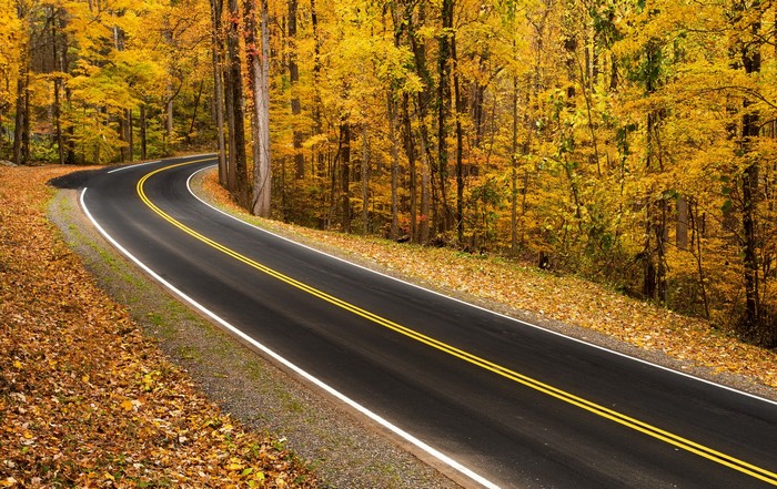 Winding road through autumn forest