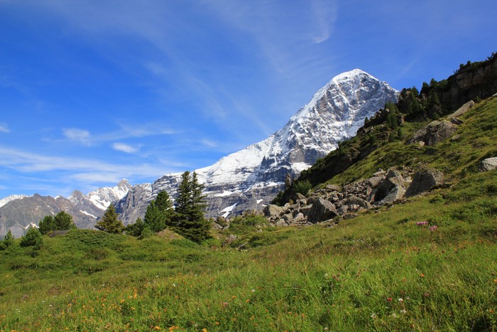 Snow-capped mountains and green meadow in Switzerland