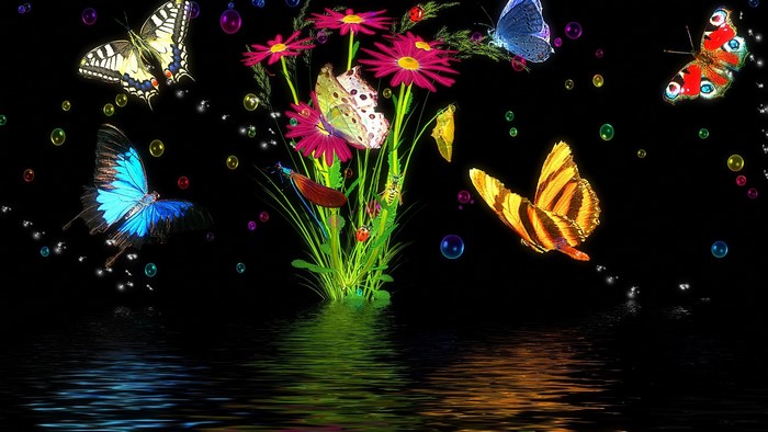 Butterflies and flowers reflected in water