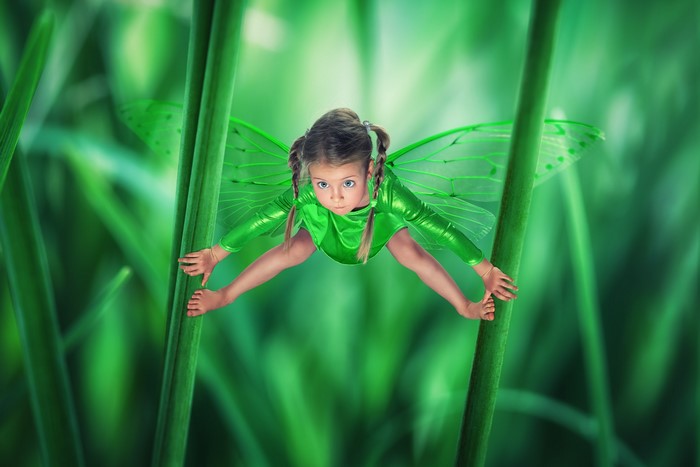 Girl with fairy wings among grass stalks