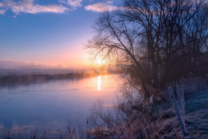 Sunrise over a misty river with bare trees