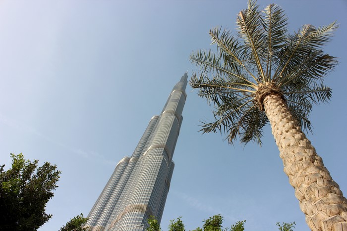 Burj Khalifa and Palm Tree in Dubai