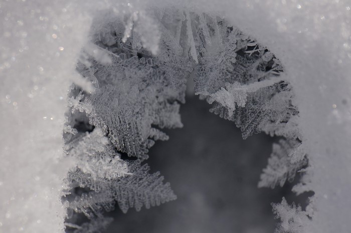 Closeup of ice crystals on snow