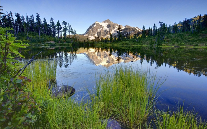 Mountain reflected in a calm lake with pine trees