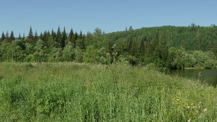 Summer landscape in Siberia, Russia with a forest and lake