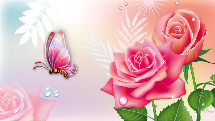 Pink Roses and Butterfly Illustration