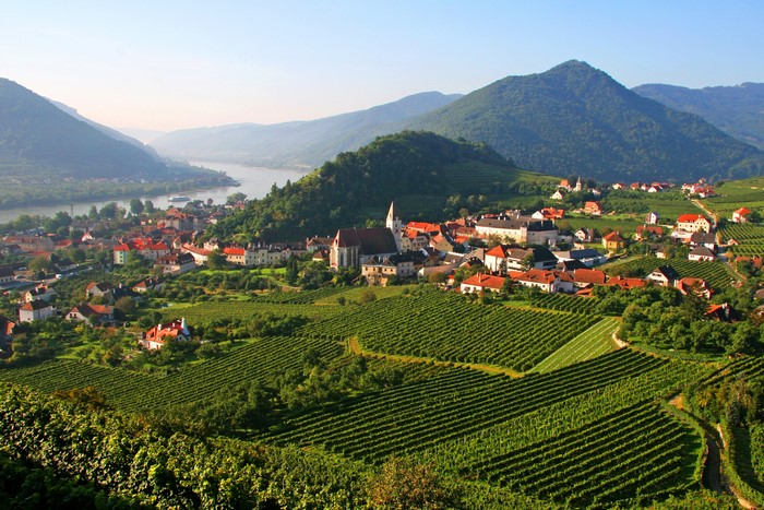 Spitz, Wachau, Austria: Village and Vineyards by the River